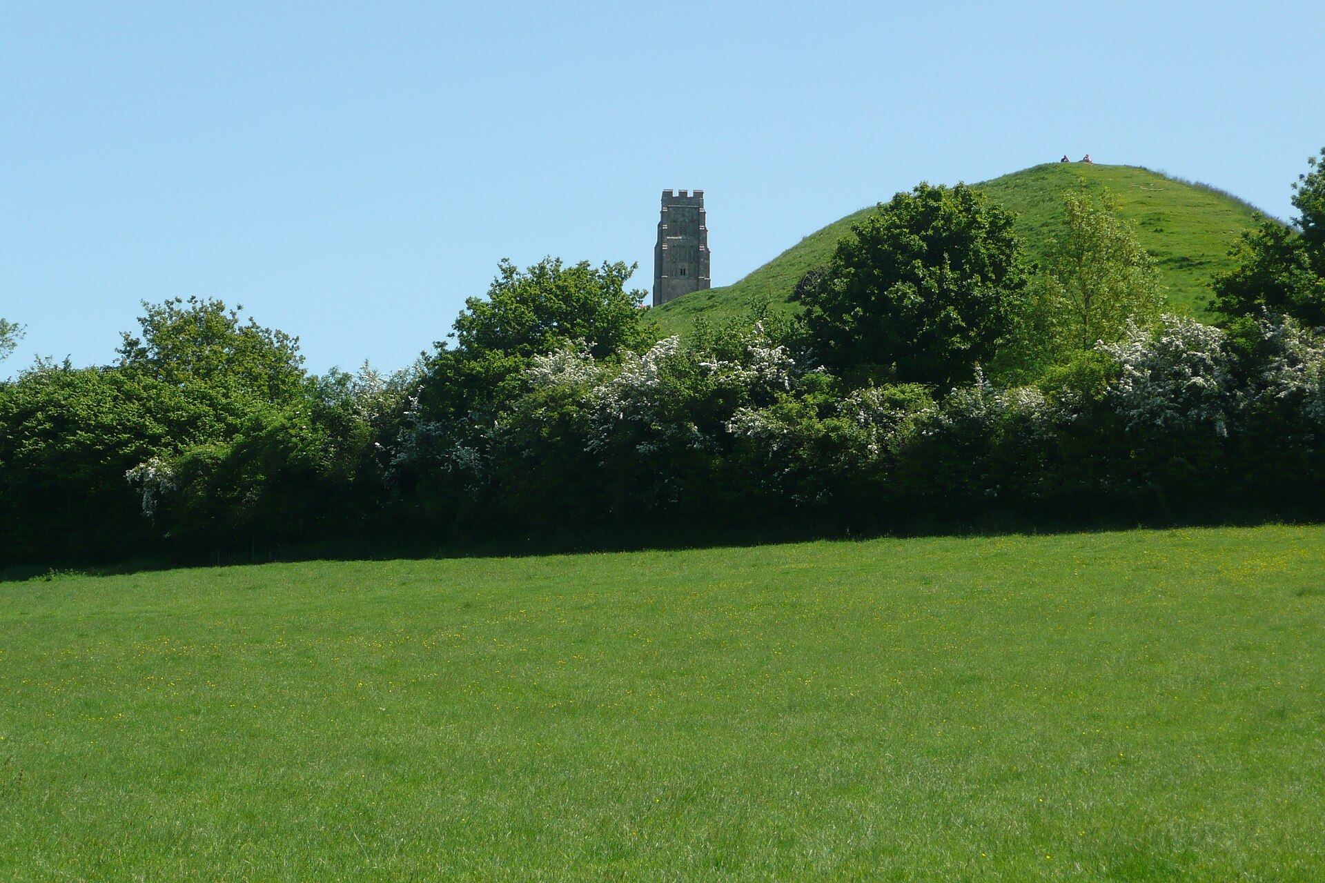 Glastonbury Tor coronado por la torre de San Miguel sobre los campos verdes de Somerset